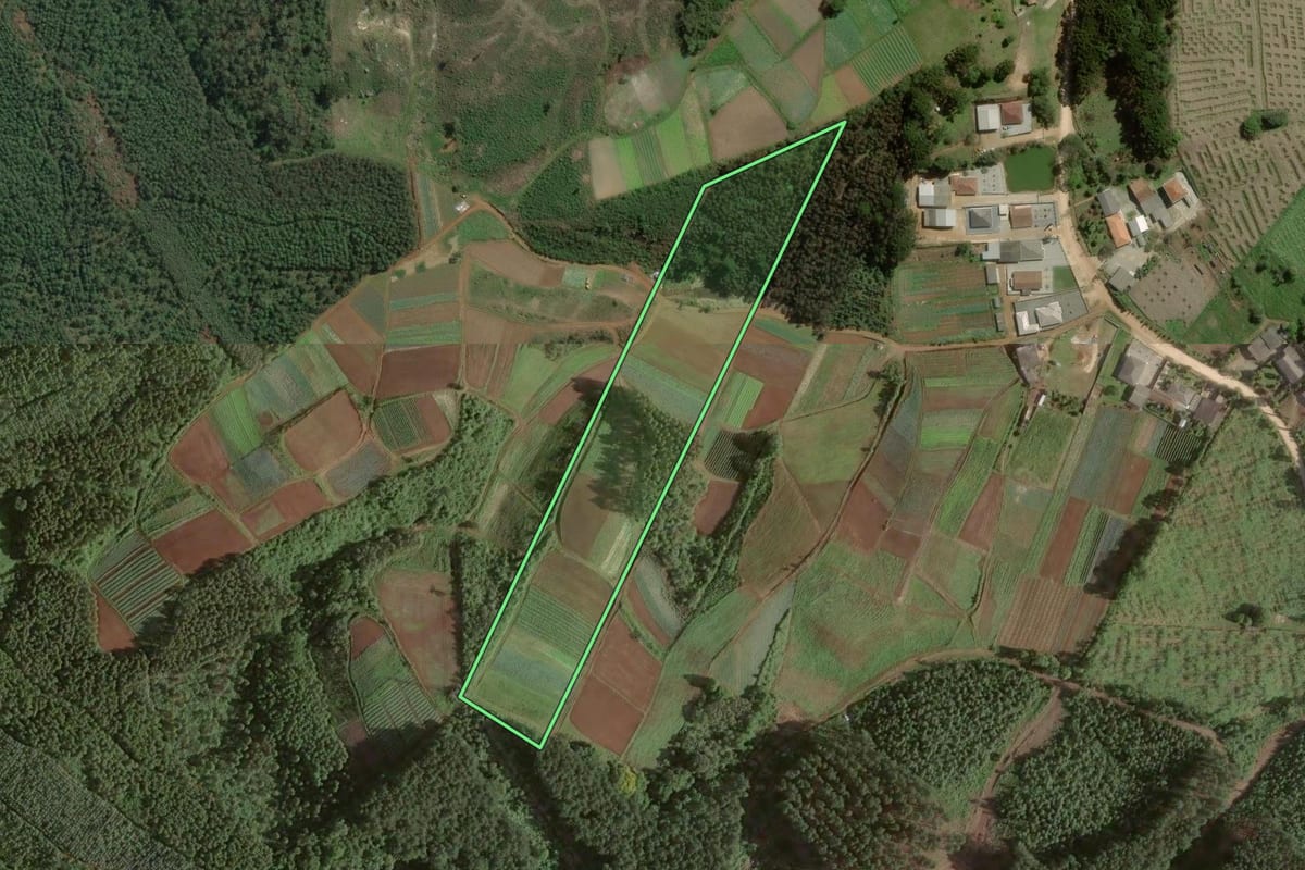 Imagem de satélite do imóvel rural em Rio Branco do Sul (PR), com o contorno declarado no CAR desenhado por cima.