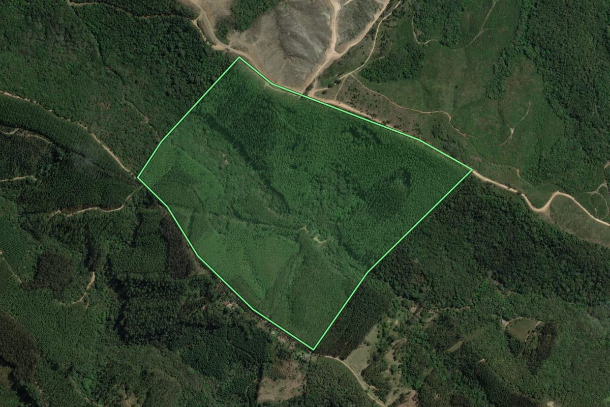 Imagem de satélite do imóvel rural em Rio Branco do Sul (PR), com o contorno declarado no CAR desenhado por cima.