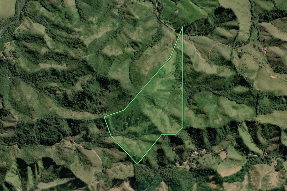 Imagem de satélite do imóvel rural em Rio Branco do Sul (PR), com o contorno declarado no CAR desenhado por cima.
