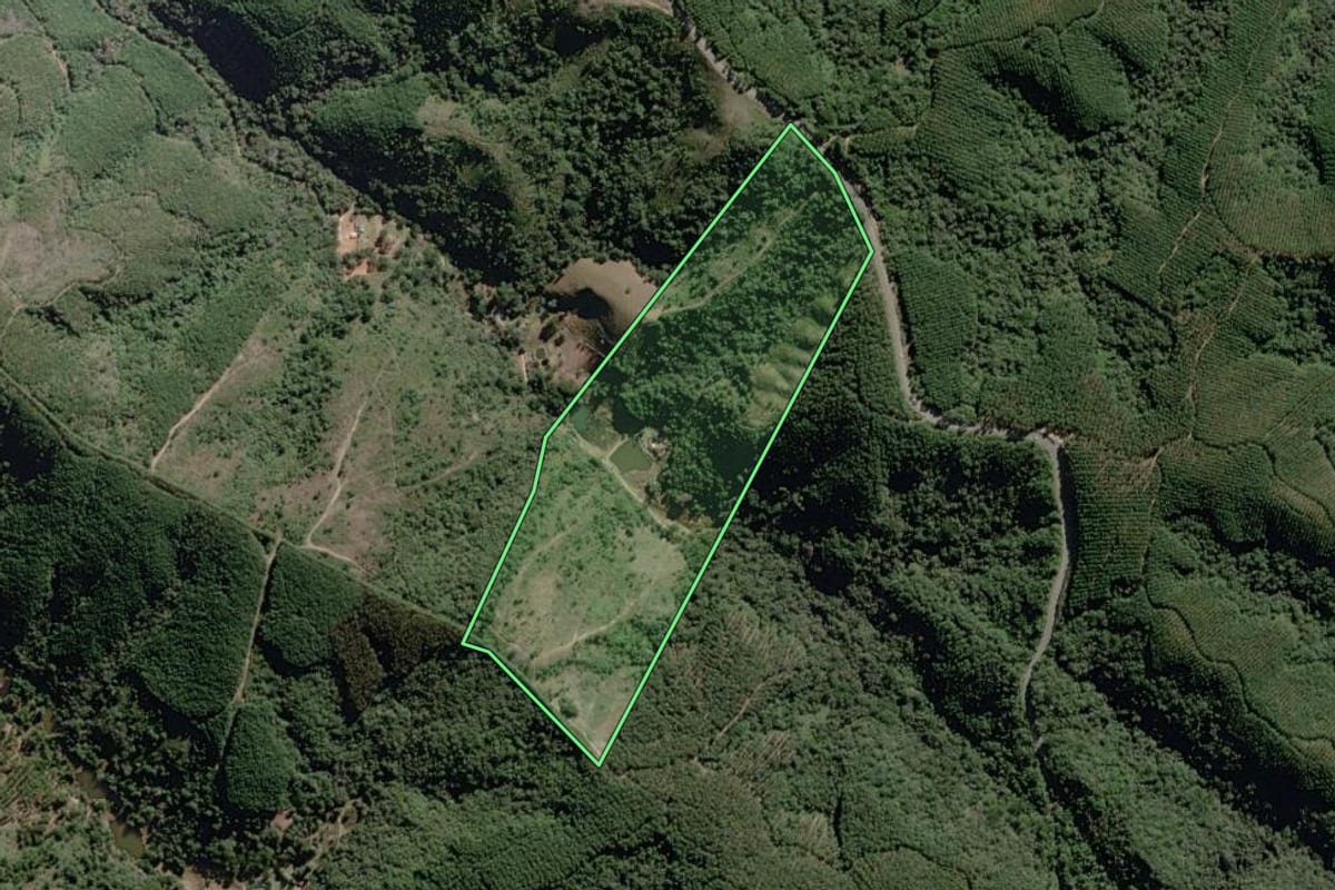 Imagem de satélite do imóvel rural em Rio Branco do Sul (PR), com o contorno declarado no CAR desenhado por cima.