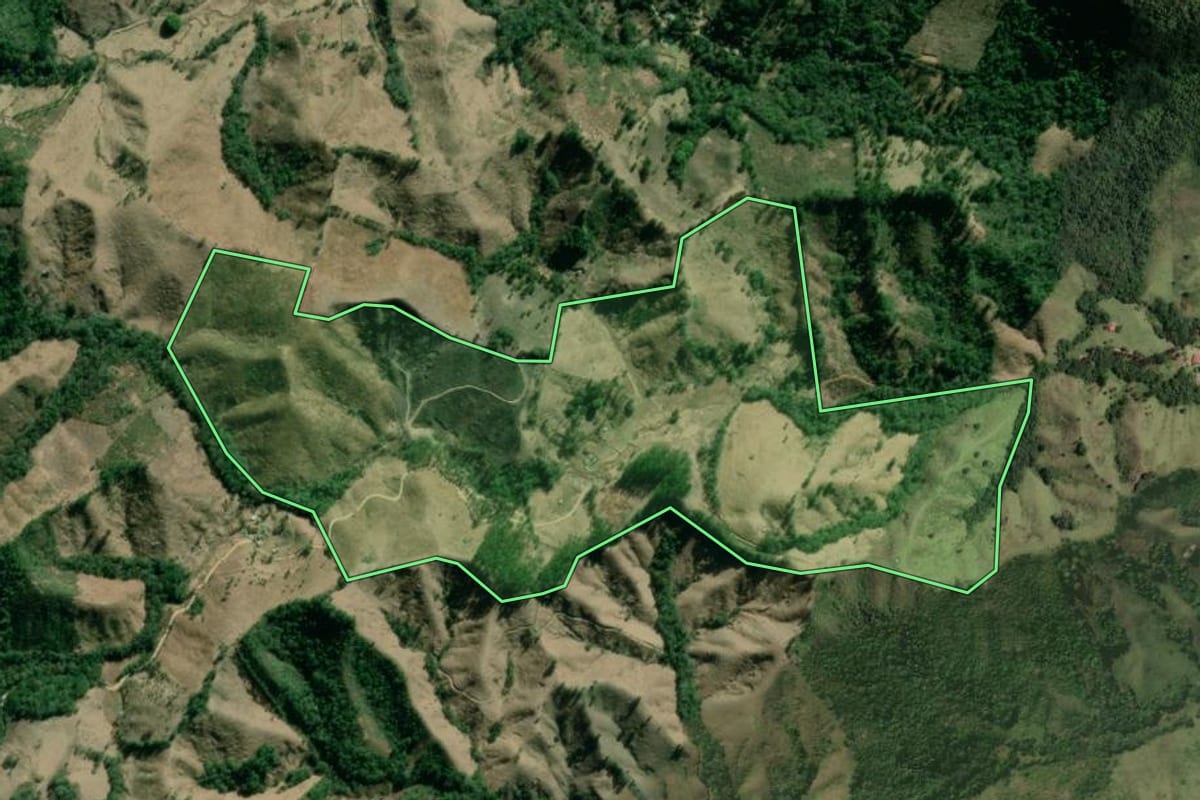 Imagem de satélite do imóvel rural em Rio Branco do Sul (PR), com o contorno declarado no CAR desenhado por cima.