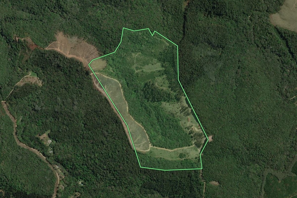 Imagem de satélite do imóvel rural em Rio Branco do Sul (PR), com o contorno declarado no CAR desenhado por cima.