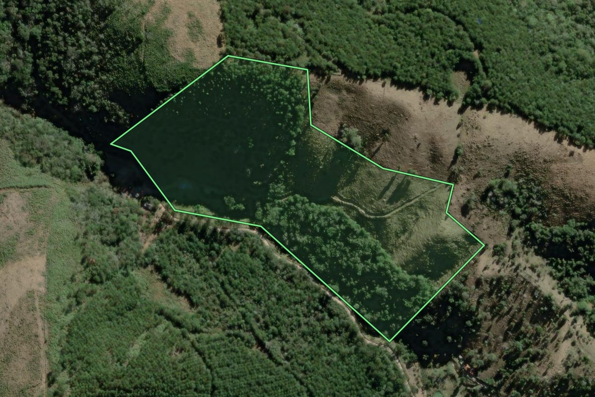 Imagem de satélite do imóvel rural em Rio Branco do Sul (PR), com o contorno declarado no CAR desenhado por cima.