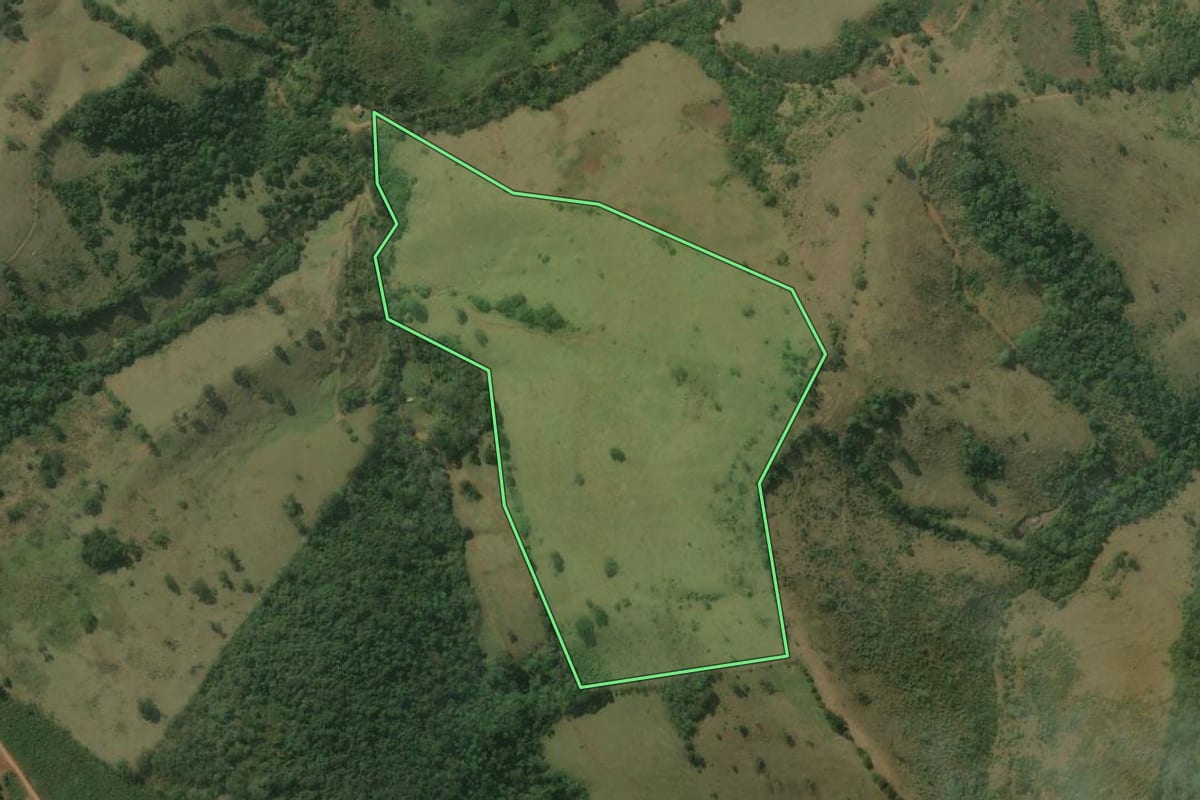 Imagem de satélite do imóvel rural em Rio Branco do Sul (PR), com o contorno declarado no CAR desenhado por cima.