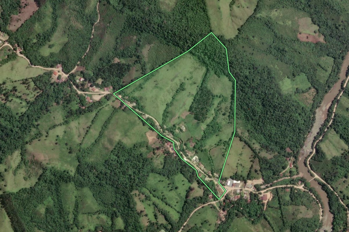 Imagem de satélite do imóvel rural em Rio Branco do Sul (PR), com o contorno declarado no CAR desenhado por cima.
