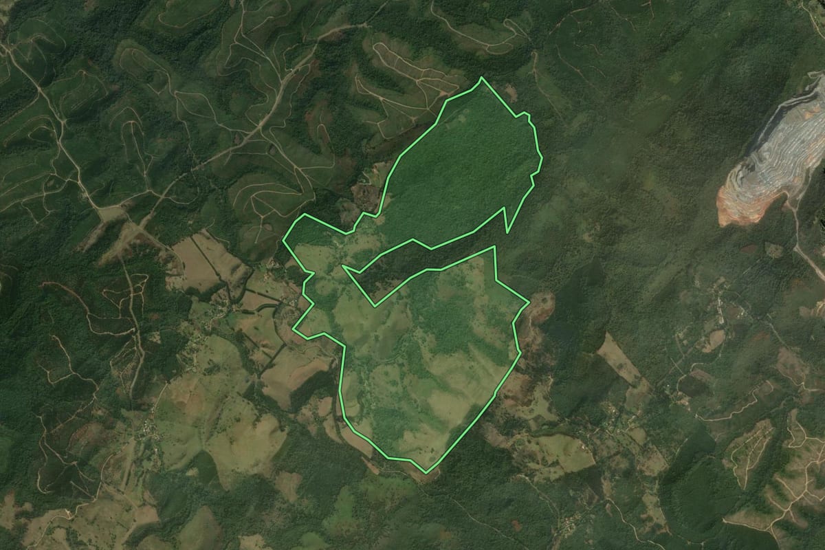 Imagem de satélite do imóvel rural em Rio Branco do Sul (PR), com o contorno declarado no CAR desenhado por cima.