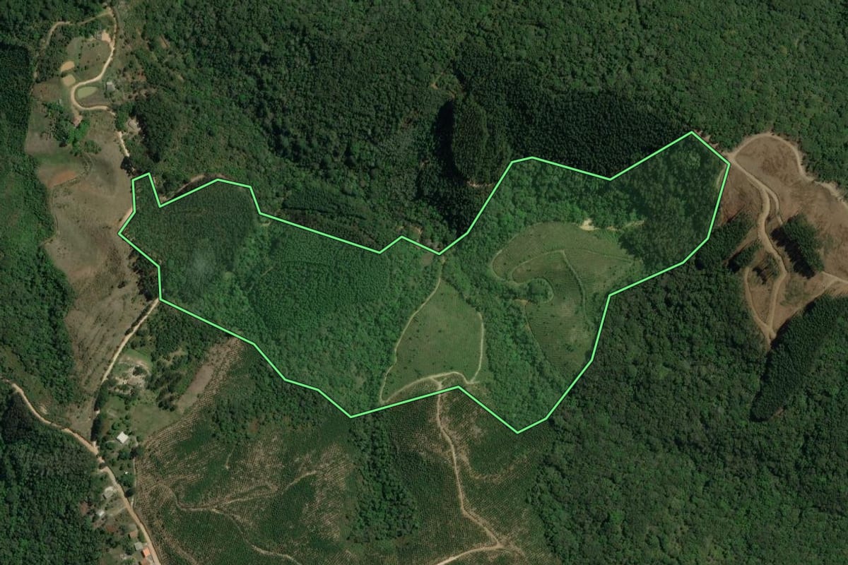 Imagem de satélite do imóvel rural em Rio Branco do Sul (PR), com o contorno declarado no CAR desenhado por cima.
