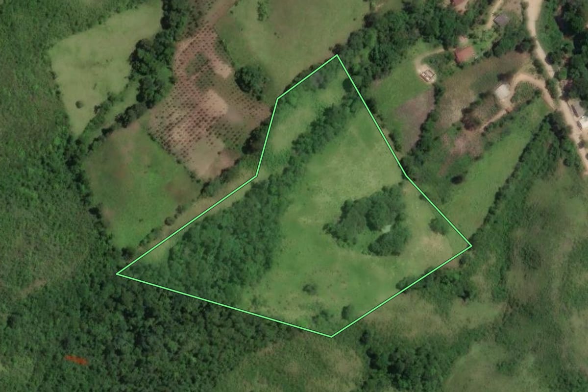 Imagem de satélite do imóvel rural em Rio Branco do Sul (PR), com o contorno declarado no CAR desenhado por cima.