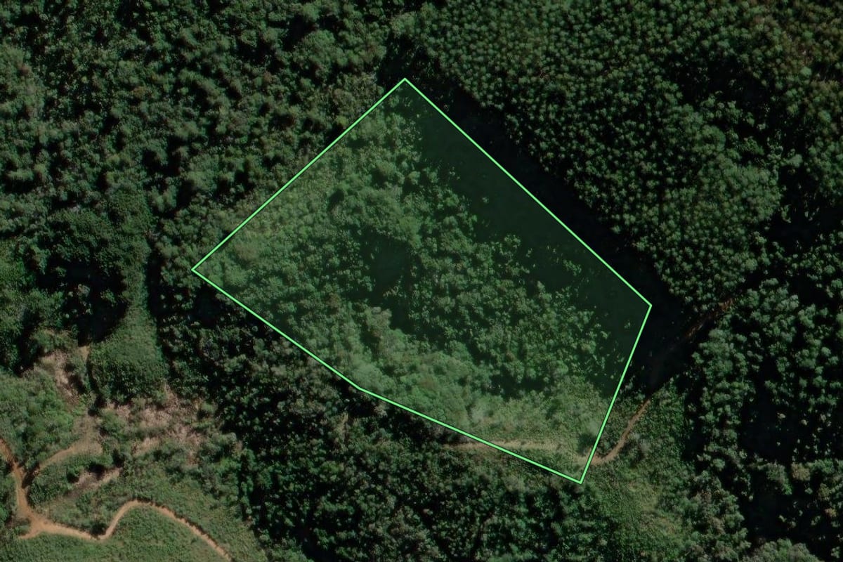 Imagem de satélite do imóvel rural em Rio Branco do Sul (PR), com o contorno declarado no CAR desenhado por cima.