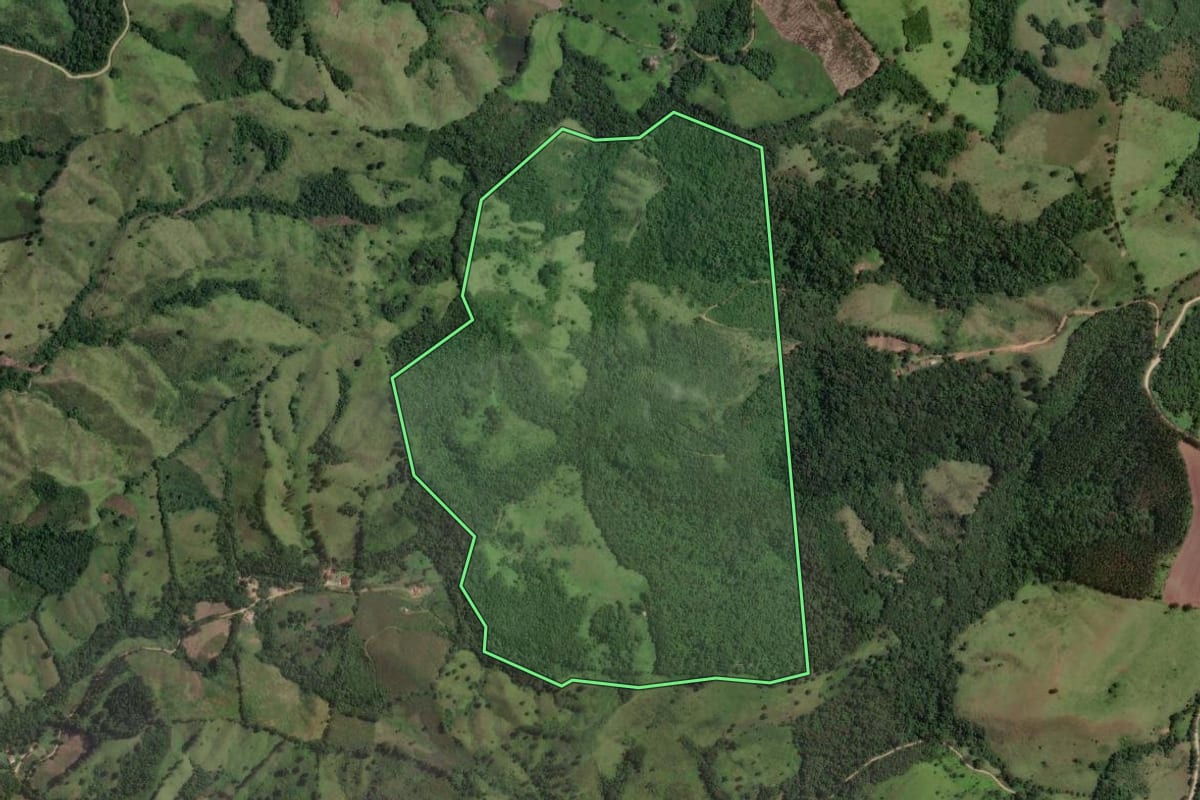 Imagem de satélite do imóvel rural em Rio Branco do Sul (PR), com o contorno declarado no CAR desenhado por cima.
