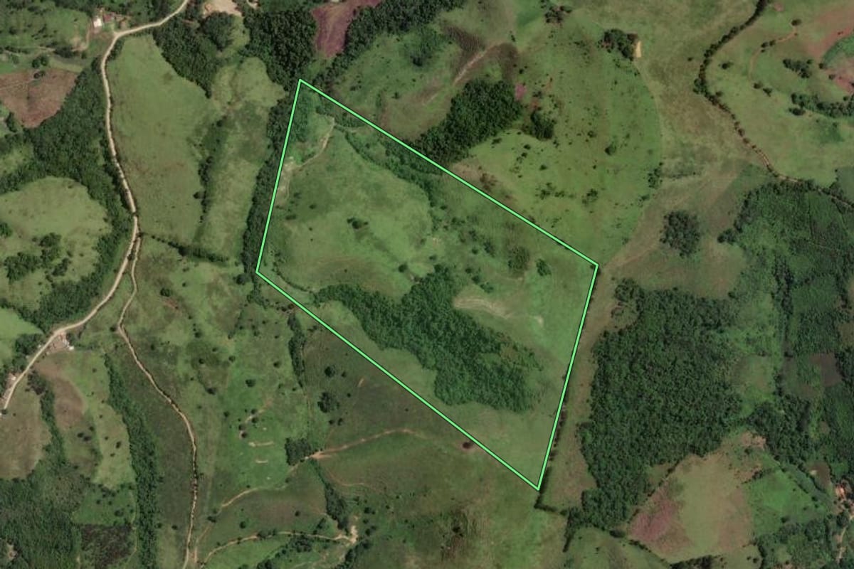 Imagem de satélite do imóvel rural em Rio Branco do Sul (PR), com o contorno declarado no CAR desenhado por cima.