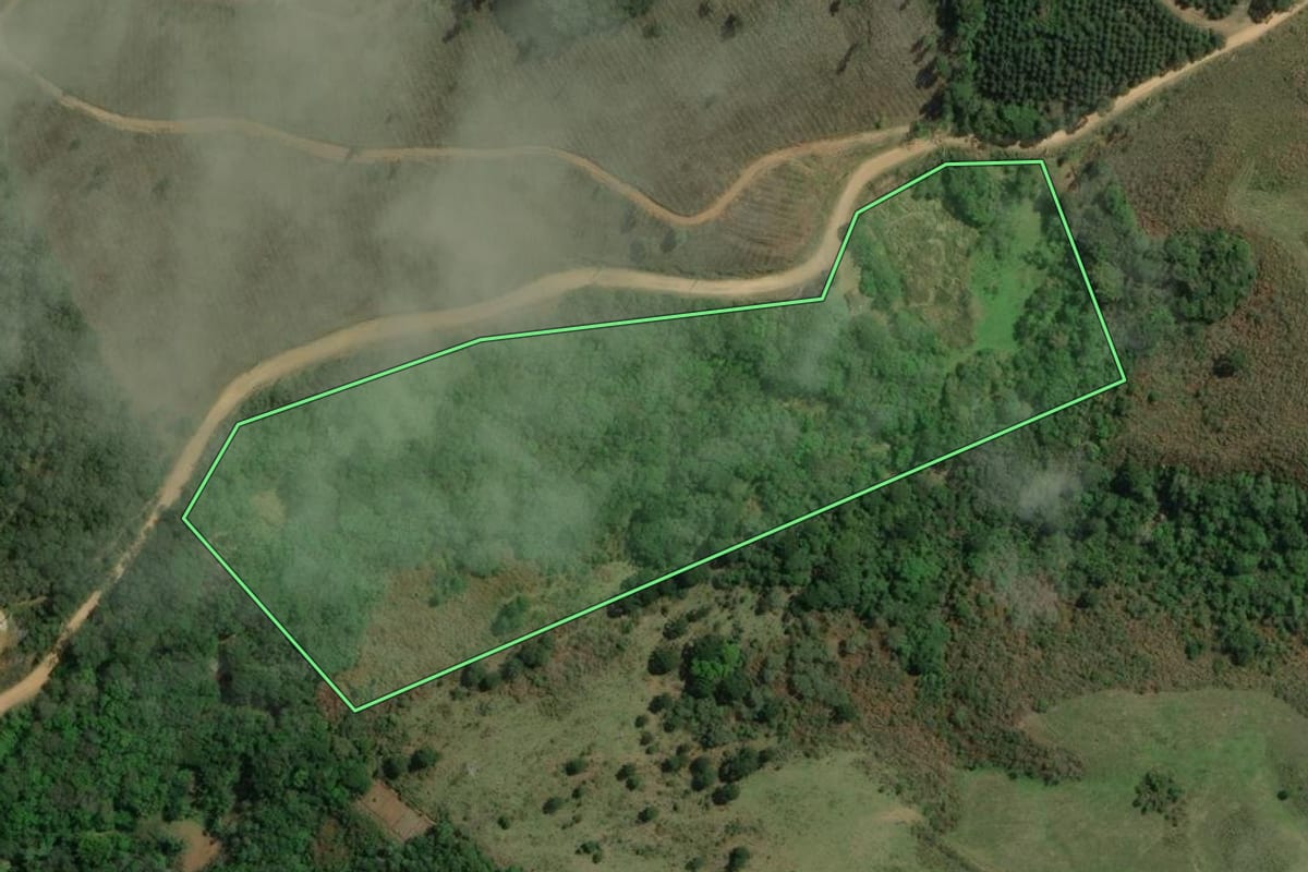 Imagem de satélite do imóvel rural em Rio Branco do Sul (PR), com o contorno declarado no CAR desenhado por cima.
