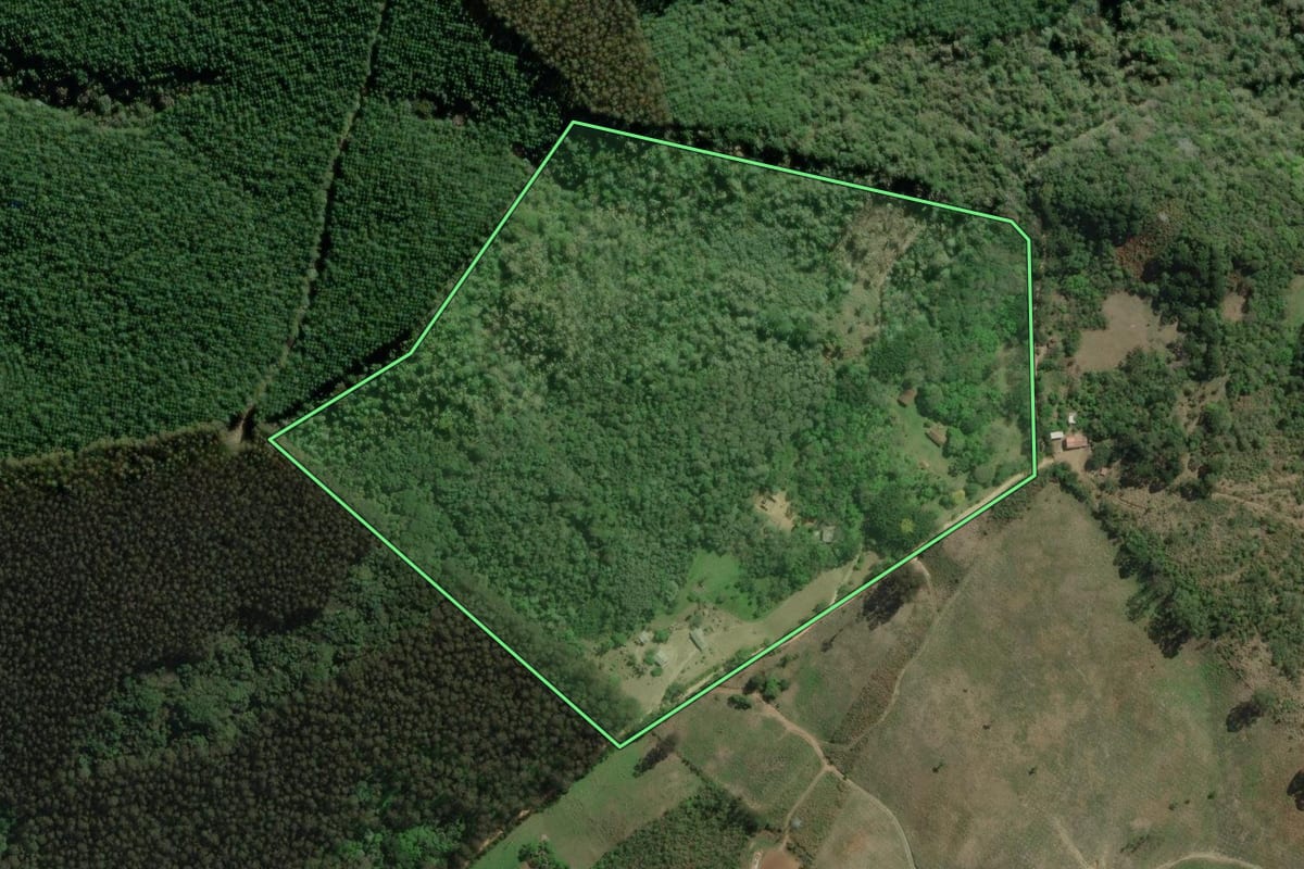 Imagem de satélite do imóvel rural em Rio Branco do Sul (PR), com o contorno declarado no CAR desenhado por cima.