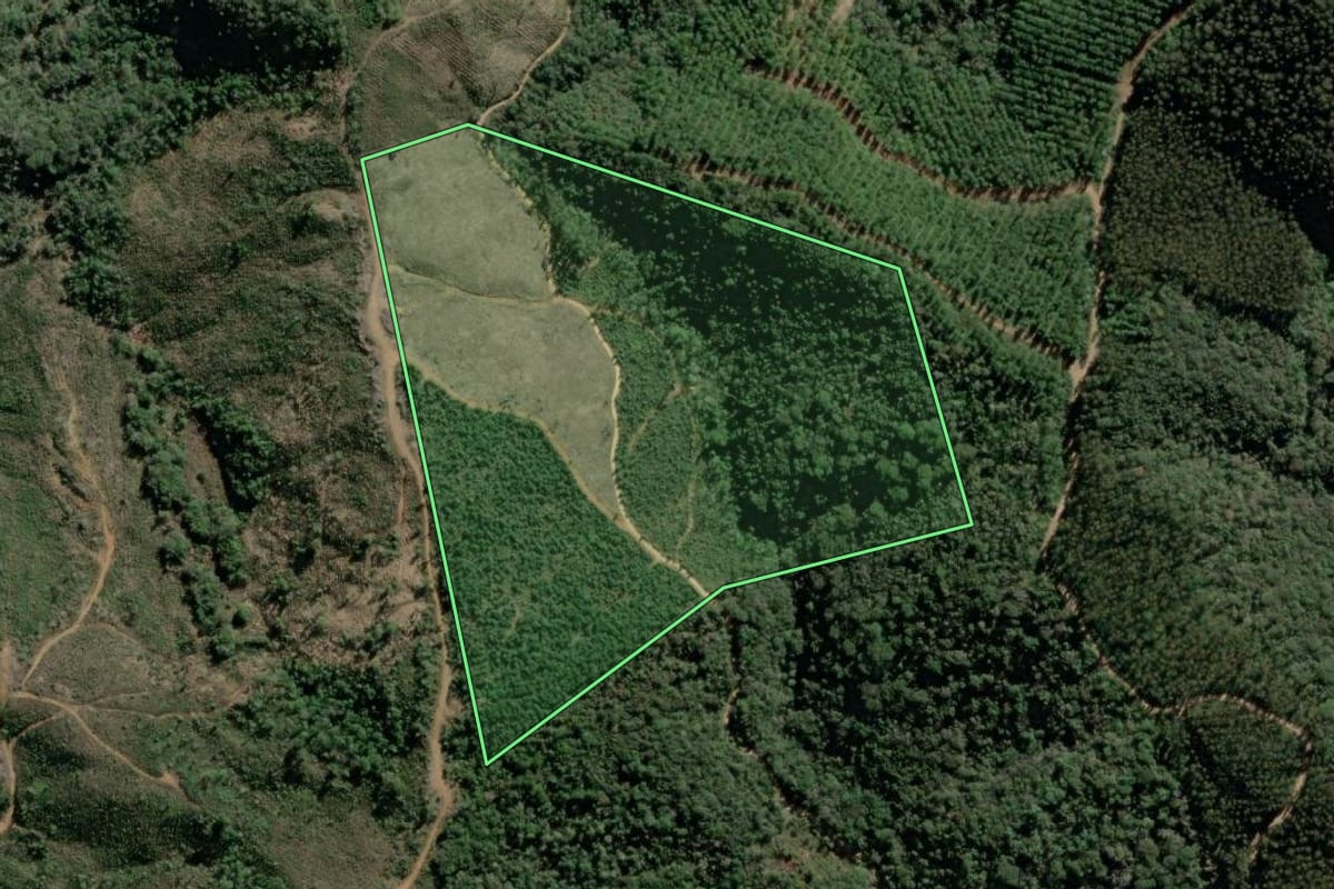 Imagem de satélite do imóvel rural em Rio Branco do Sul (PR), com o contorno declarado no CAR desenhado por cima.