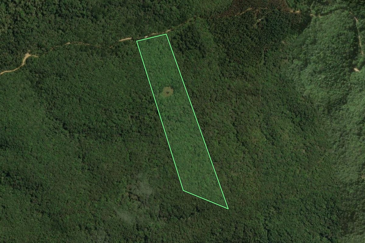 Imagem de satélite do imóvel rural em Rio Branco do Sul (PR), com o contorno declarado no CAR desenhado por cima.