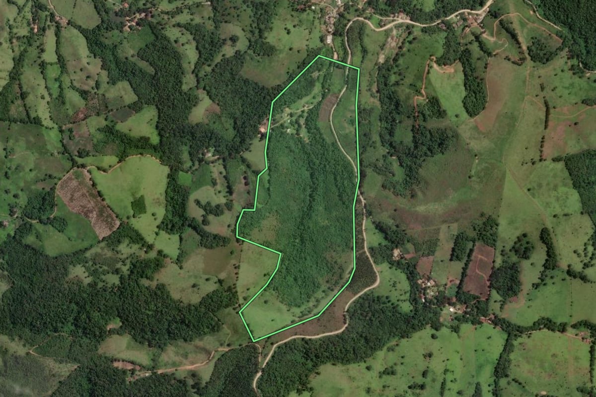 Imagem de satélite do imóvel rural em Rio Branco do Sul (PR), com o contorno declarado no CAR desenhado por cima.