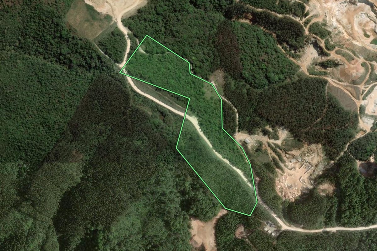Imagem de satélite do imóvel rural em Rio Branco do Sul (PR), com o contorno declarado no CAR desenhado por cima.