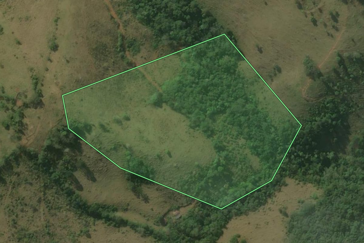 Imagem de satélite do imóvel rural em Rio Branco do Sul (PR), com o contorno declarado no CAR desenhado por cima.