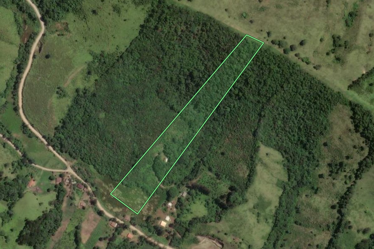 Imagem de satélite do imóvel rural em Rio Branco do Sul (PR), com o contorno declarado no CAR desenhado por cima.