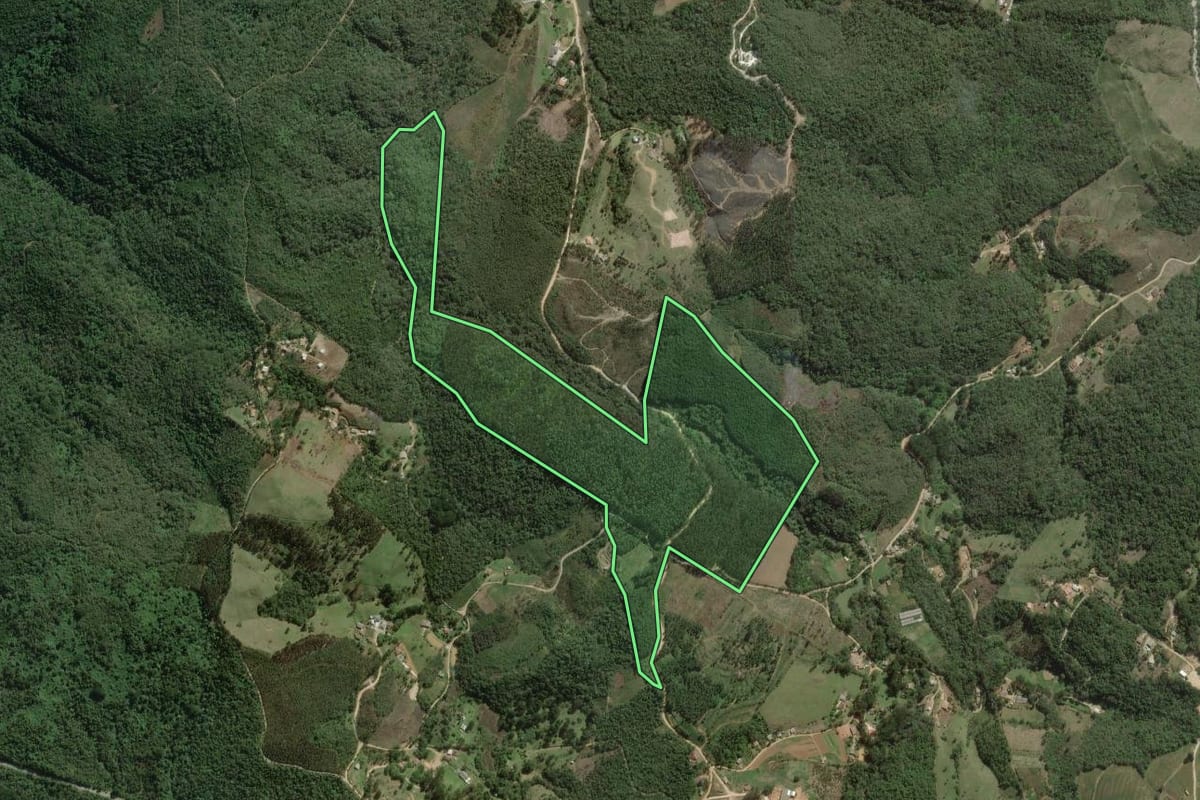 Imagem de satélite do imóvel rural em Rio Branco do Sul (PR), com o contorno declarado no CAR desenhado por cima.