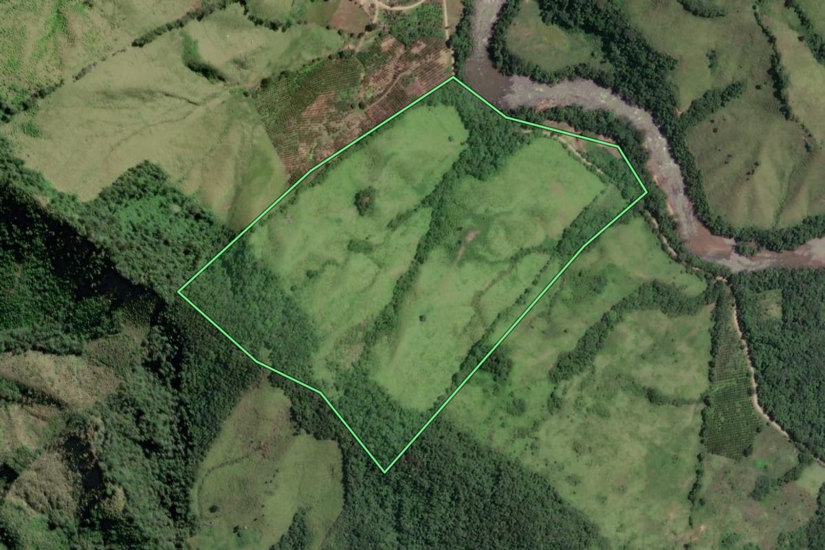 Imagem de satélite do imóvel rural em Rio Branco do Sul (PR), com o contorno declarado no CAR desenhado por cima.