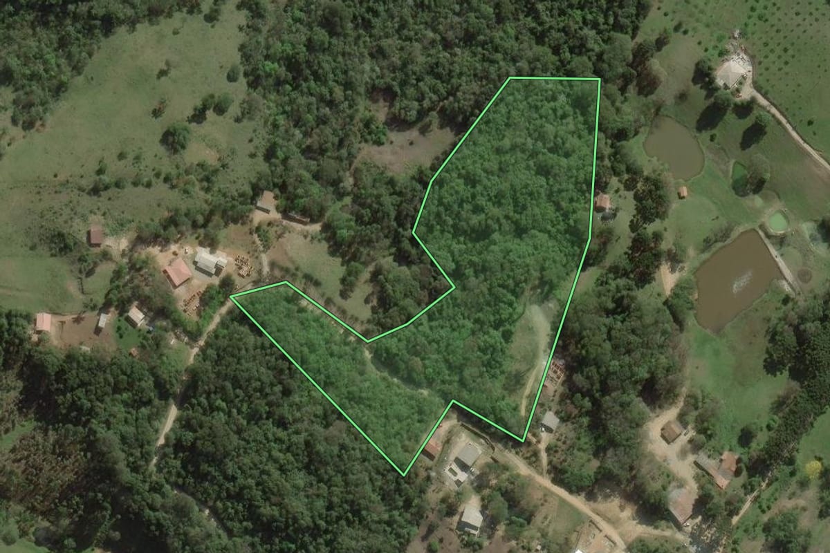 Imagem de satélite do imóvel rural em Rio Branco do Sul (PR), com o contorno declarado no CAR desenhado por cima.
