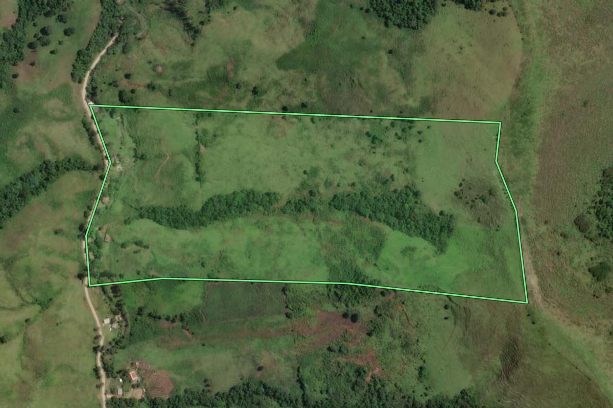 Imagem de satélite do imóvel rural em Rio Branco do Sul (PR), com o contorno declarado no CAR desenhado por cima.