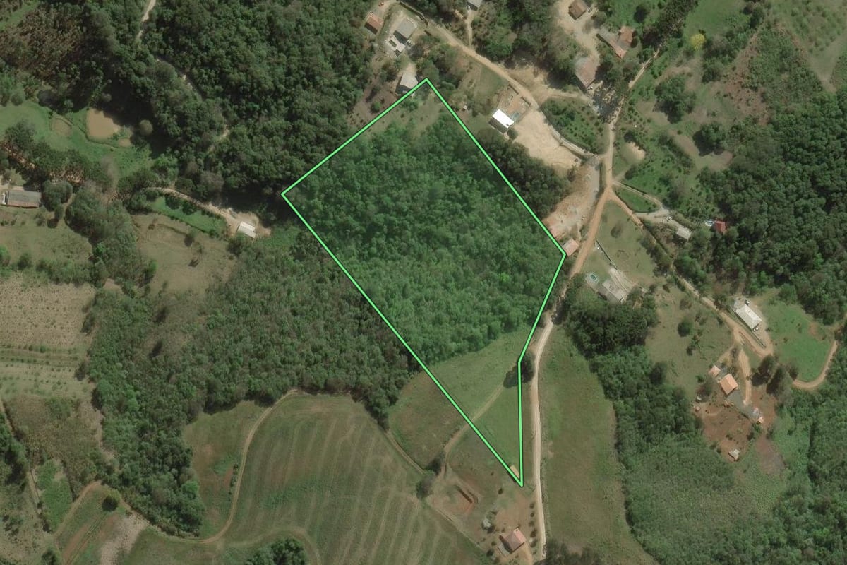 Imagem de satélite do imóvel rural em Rio Branco do Sul (PR), com o contorno declarado no CAR desenhado por cima.