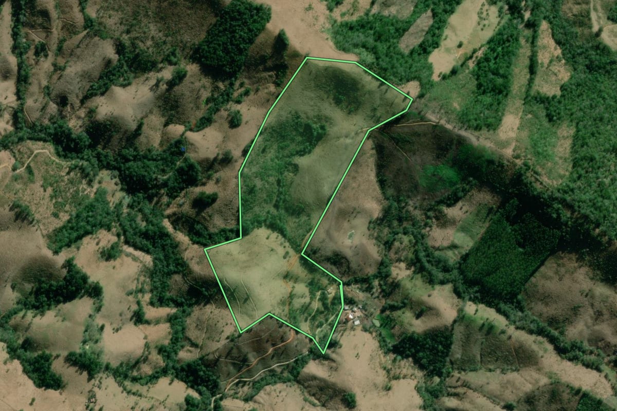 Imagem de satélite do imóvel rural em Rio Branco do Sul (PR), com o contorno declarado no CAR desenhado por cima.