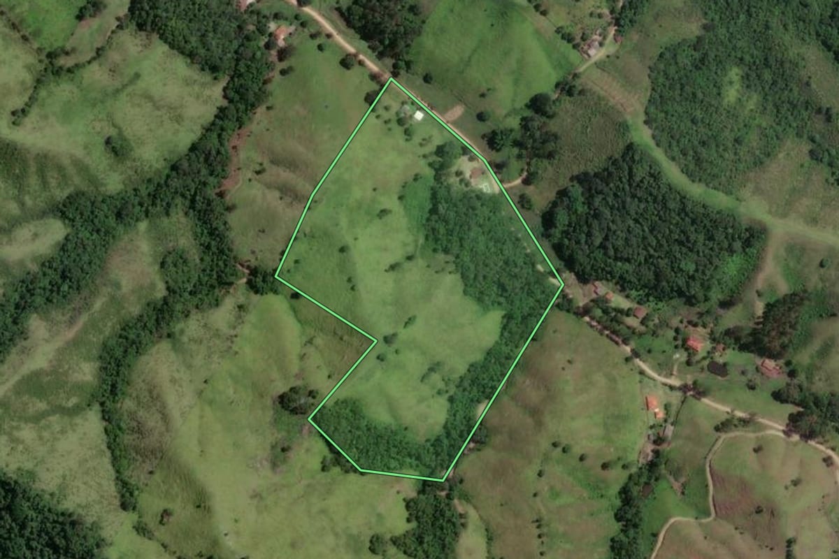 Imagem de satélite do imóvel rural em Rio Branco do Sul (PR), com o contorno declarado no CAR desenhado por cima.
