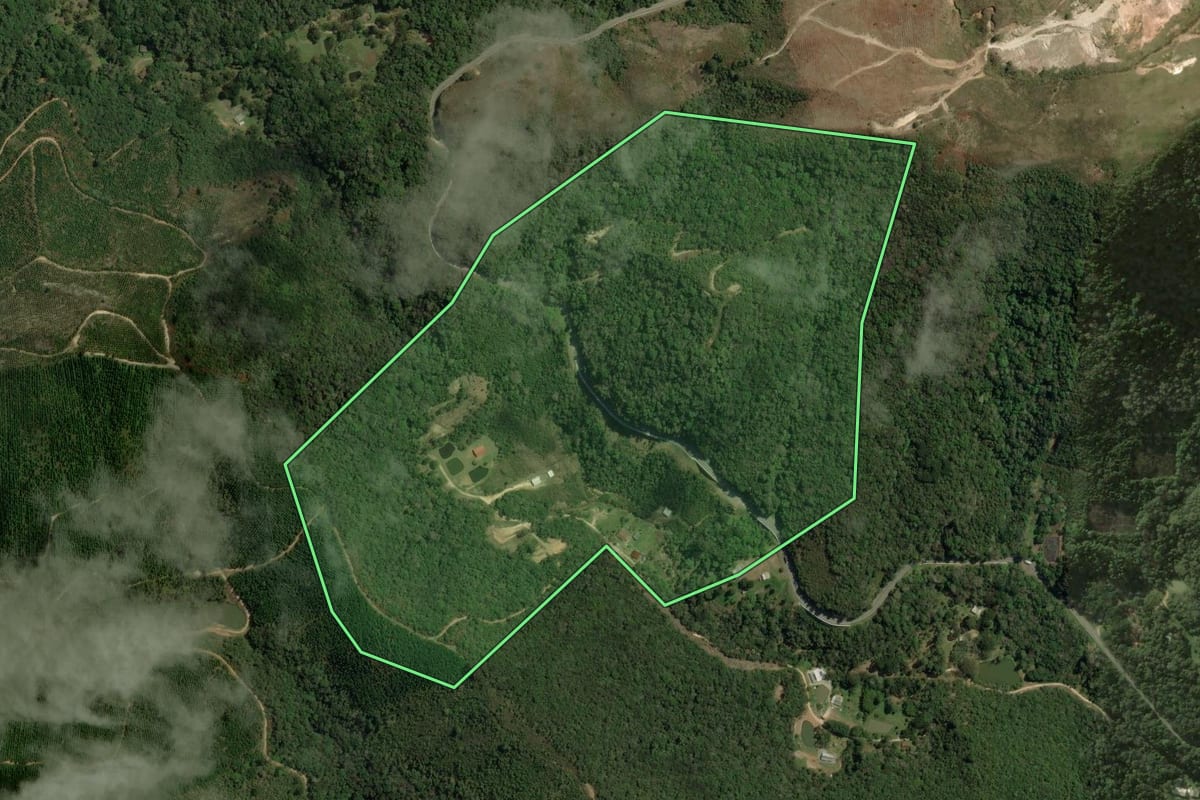 Imagem de satélite do imóvel rural em Rio Branco do Sul (PR), com o contorno declarado no CAR desenhado por cima.