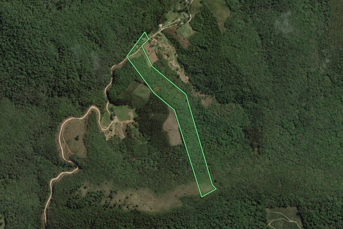 Imagem de satélite do imóvel rural em Rio Branco do Sul (PR), com o contorno declarado no CAR desenhado por cima.