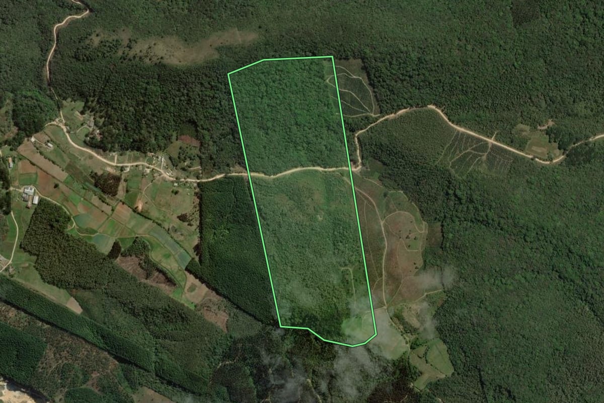 Imagem de satélite do imóvel rural em Rio Branco do Sul (PR), com o contorno declarado no CAR desenhado por cima.
