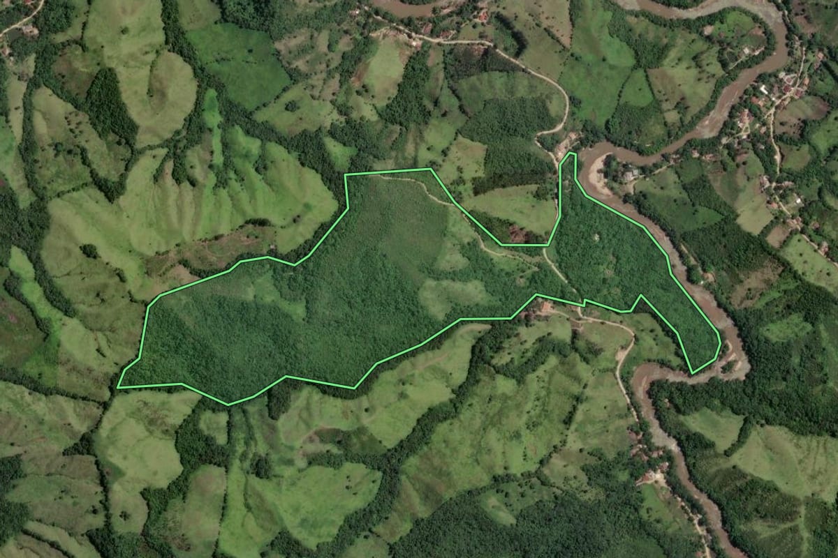 Imagem de satélite do imóvel rural em Rio Branco do Sul (PR), com o contorno declarado no CAR desenhado por cima.