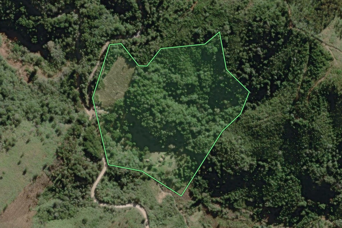 Imagem de satélite do imóvel rural em Rio Branco do Sul (PR), com o contorno declarado no CAR desenhado por cima.