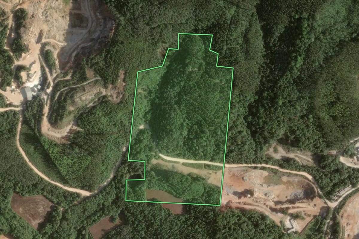 Imagem de satélite do imóvel rural em Rio Branco do Sul (PR), com o contorno declarado no CAR desenhado por cima.