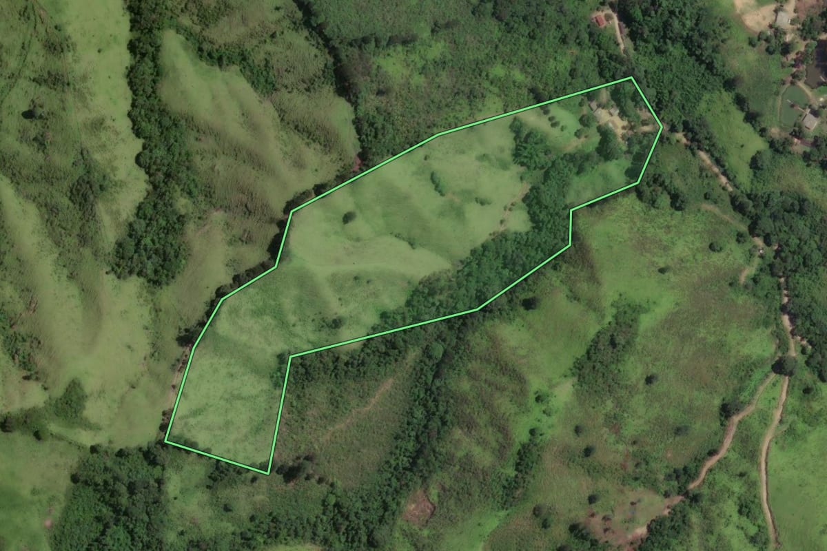 Imagem de satélite do imóvel rural em Rio Branco do Sul (PR), com o contorno declarado no CAR desenhado por cima.