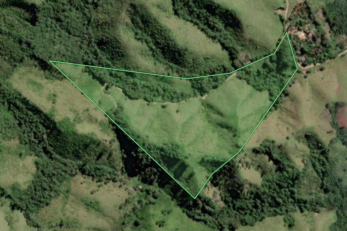 Imagem de satélite do imóvel rural em Rio Branco do Sul (PR), com o contorno declarado no CAR desenhado por cima.