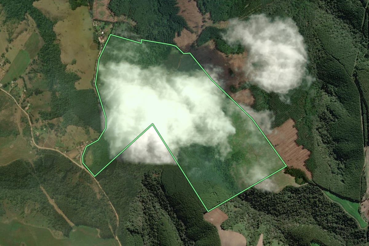Imagem de satélite do imóvel rural em Rio Branco do Sul (PR), com o contorno declarado no CAR desenhado por cima.