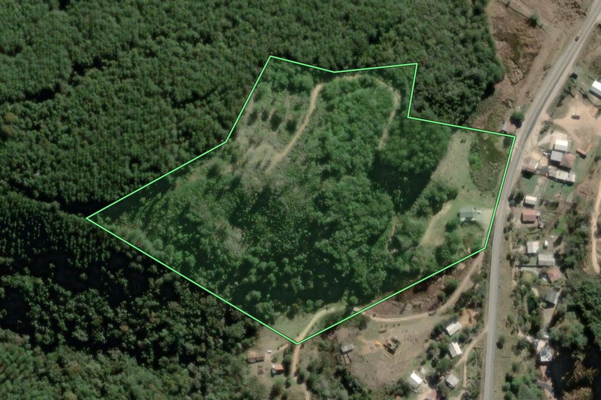 Imagem de satélite do imóvel rural em Rio Branco do Sul (PR), com o contorno declarado no CAR desenhado por cima.