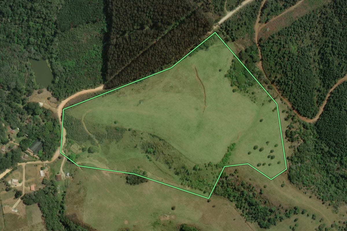 Imagem de satélite do imóvel rural em Rio Branco do Sul (PR), com o contorno declarado no CAR desenhado por cima.