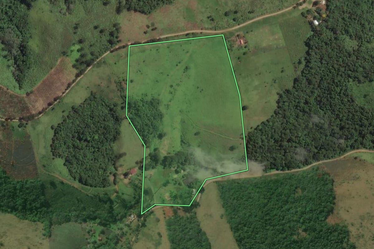 Imagem de satélite do imóvel rural em Rio Branco do Sul (PR), com o contorno declarado no CAR desenhado por cima.