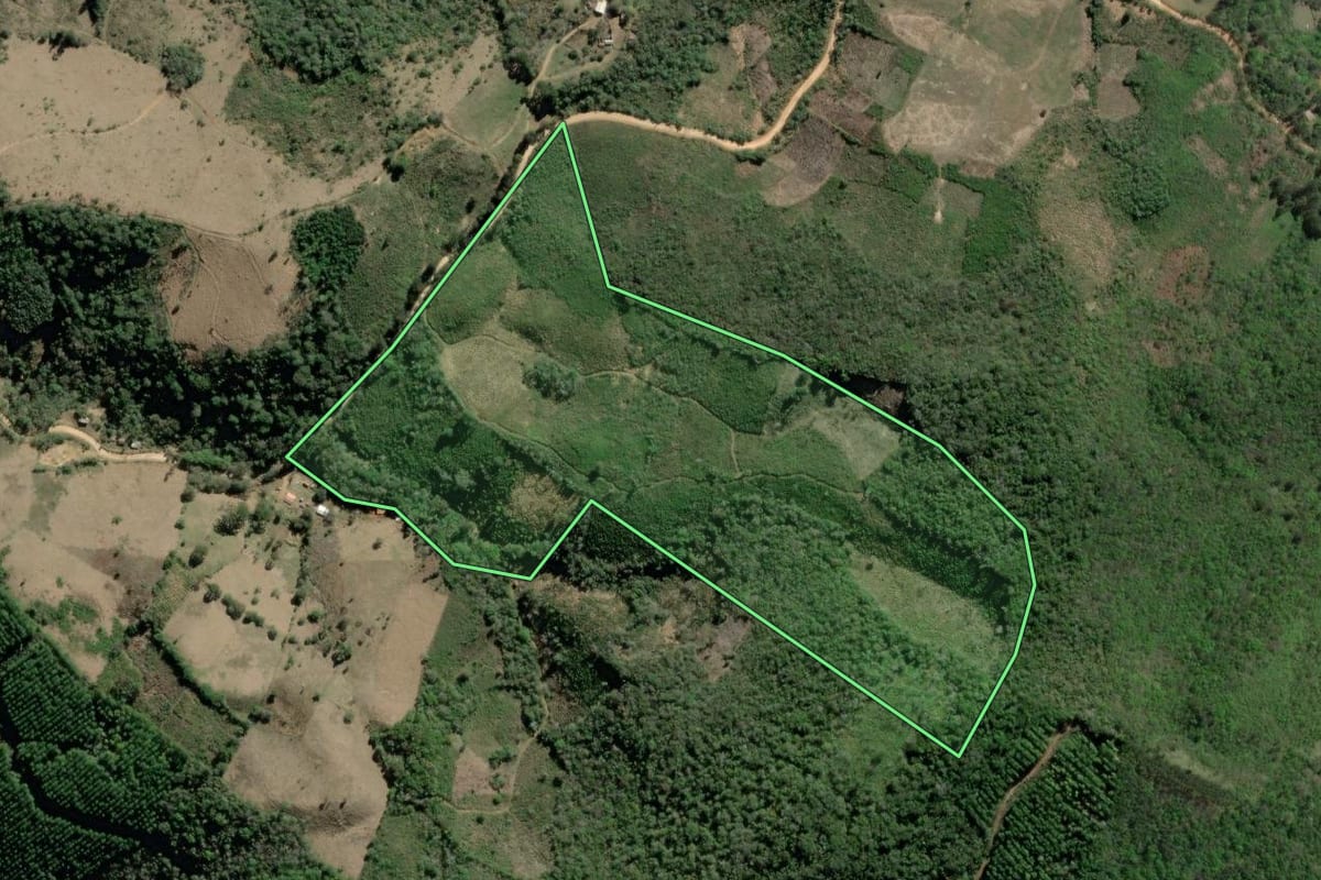 Imagem de satélite do imóvel rural em Rio Branco do Sul (PR), com o contorno declarado no CAR desenhado por cima.