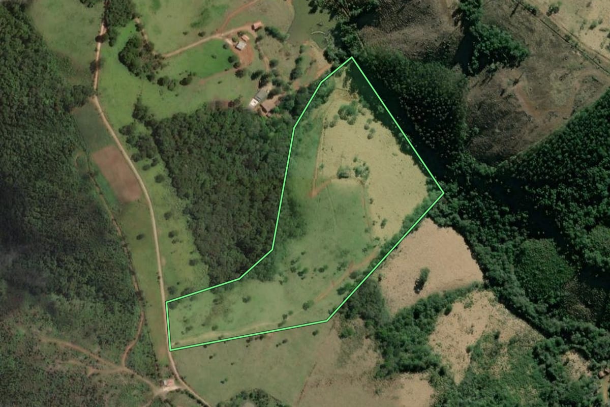 Imagem de satélite do imóvel rural em Rio Branco do Sul (PR), com o contorno declarado no CAR desenhado por cima.