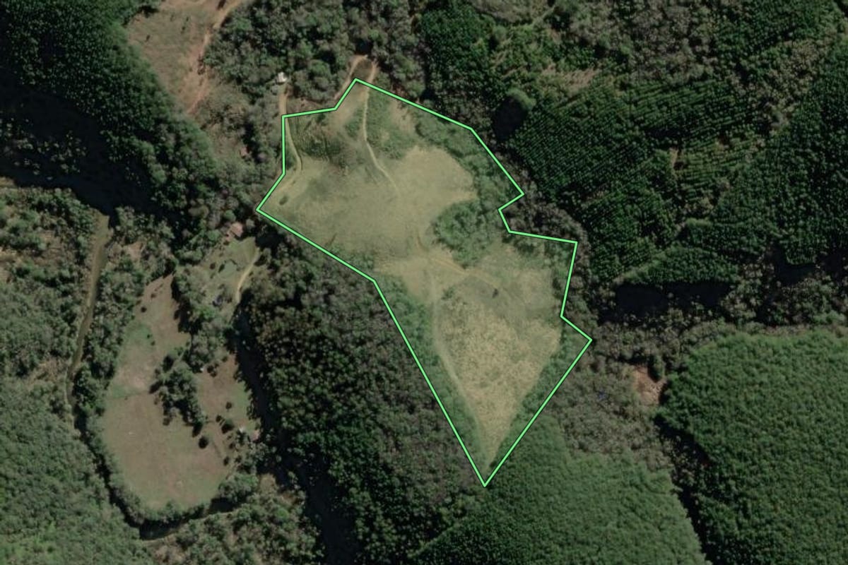Imagem de satélite do imóvel rural em Rio Branco do Sul (PR), com o contorno declarado no CAR desenhado por cima.