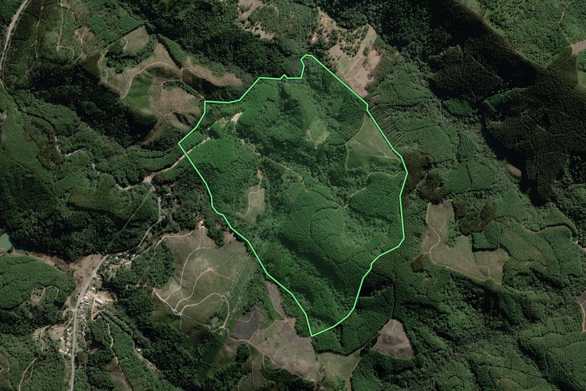 Imagem de satélite do imóvel rural em Rio Branco do Sul (PR), com o contorno declarado no CAR desenhado por cima.