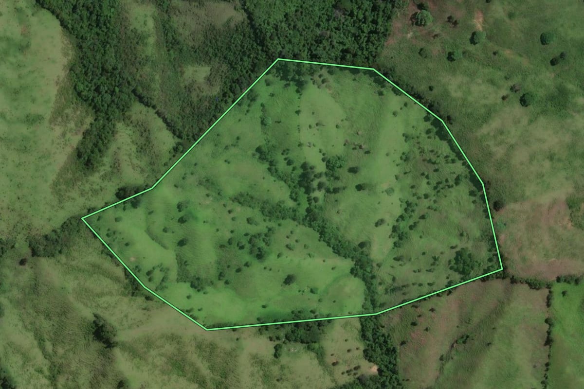 Imagem de satélite do imóvel rural em Rio Branco do Sul (PR), com o contorno declarado no CAR desenhado por cima.