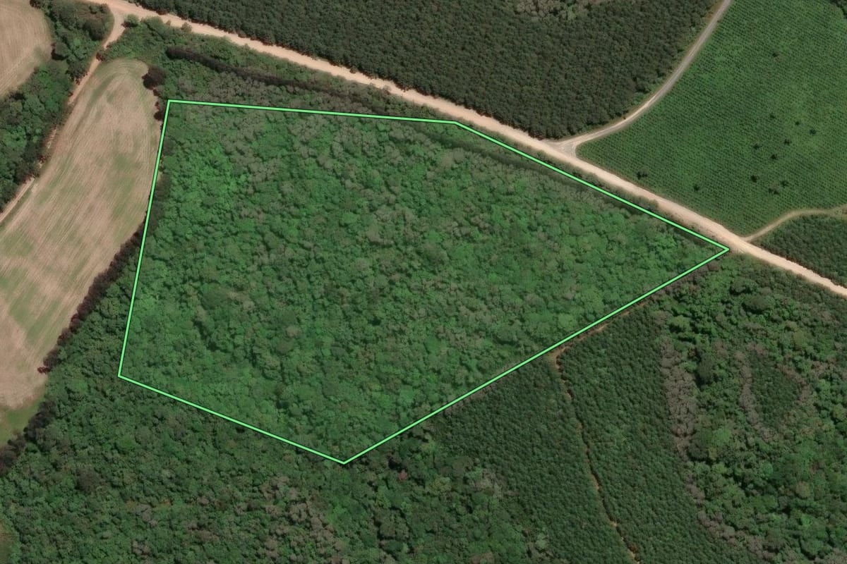 Imagem de satélite do imóvel rural em Rio Negro (PR), com o contorno declarado no CAR desenhado por cima.