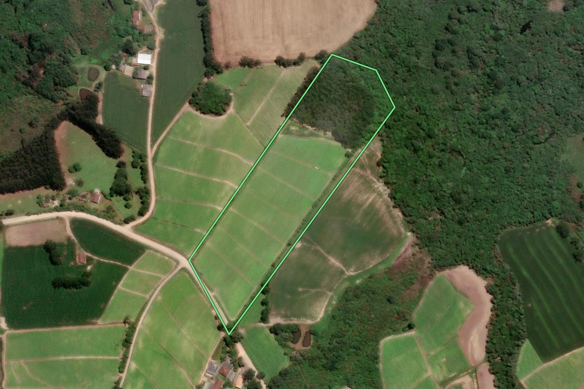 Imagem de satélite do imóvel rural em Rio Negro (PR), com o contorno declarado no CAR desenhado por cima.