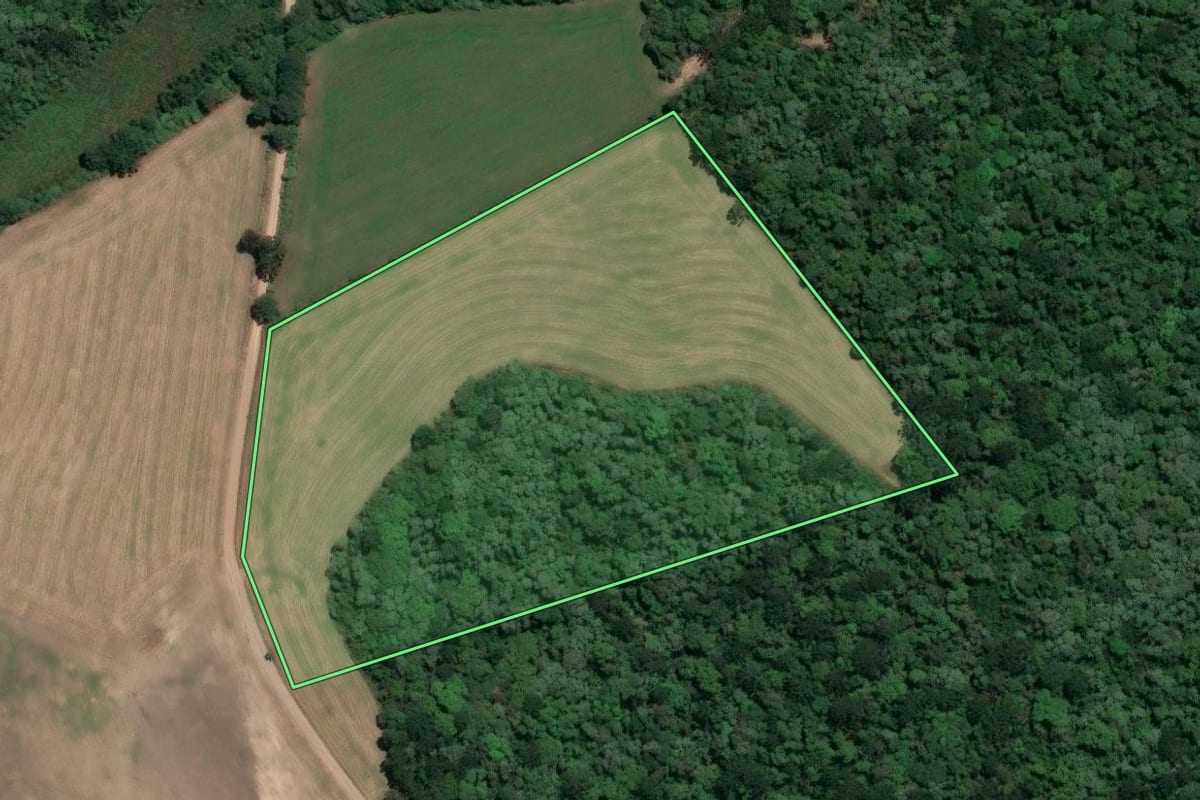 Imagem de satélite do imóvel rural em Rio Negro (PR), com o contorno declarado no CAR desenhado por cima.